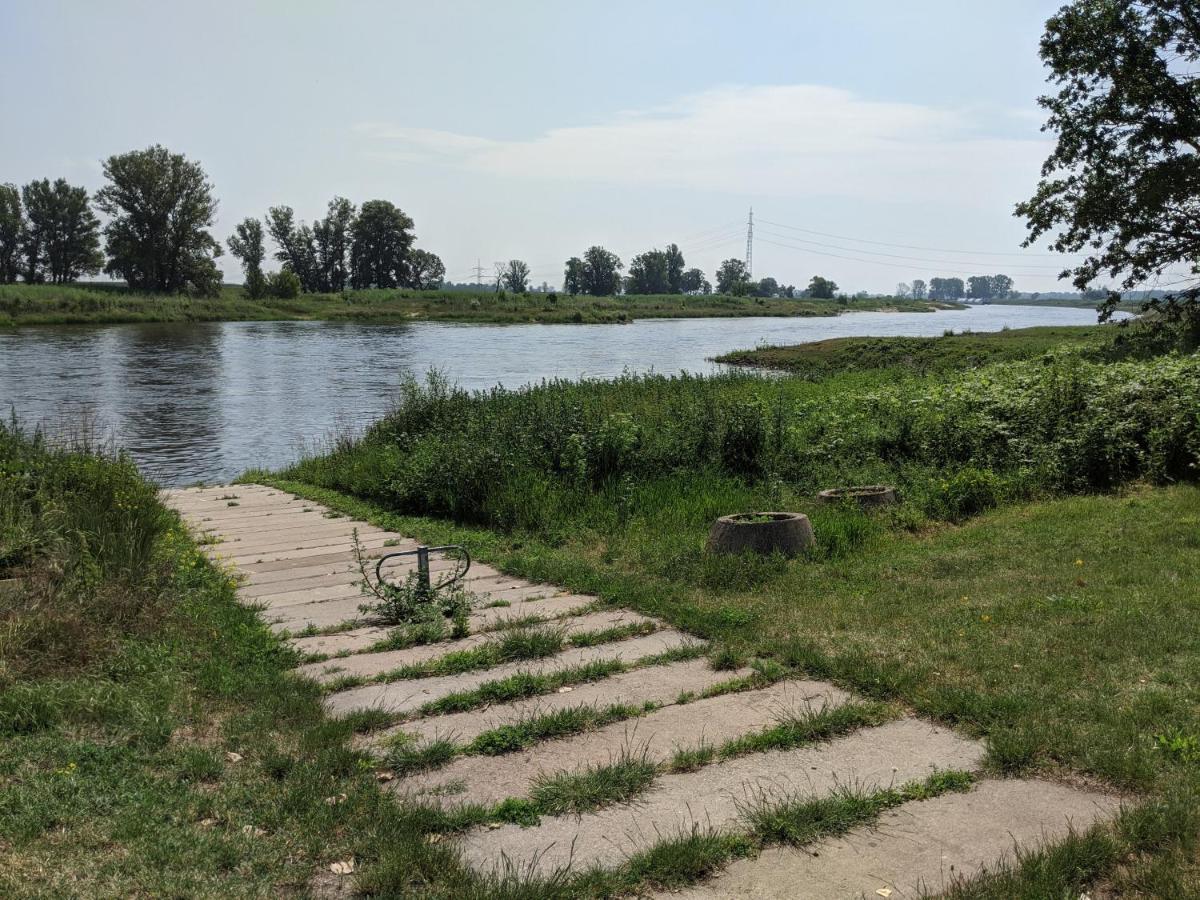 An Den Elbwiesen Gz Fewo Elbeblick Nur Nichtraucher Dommitzsch Exteriör bild