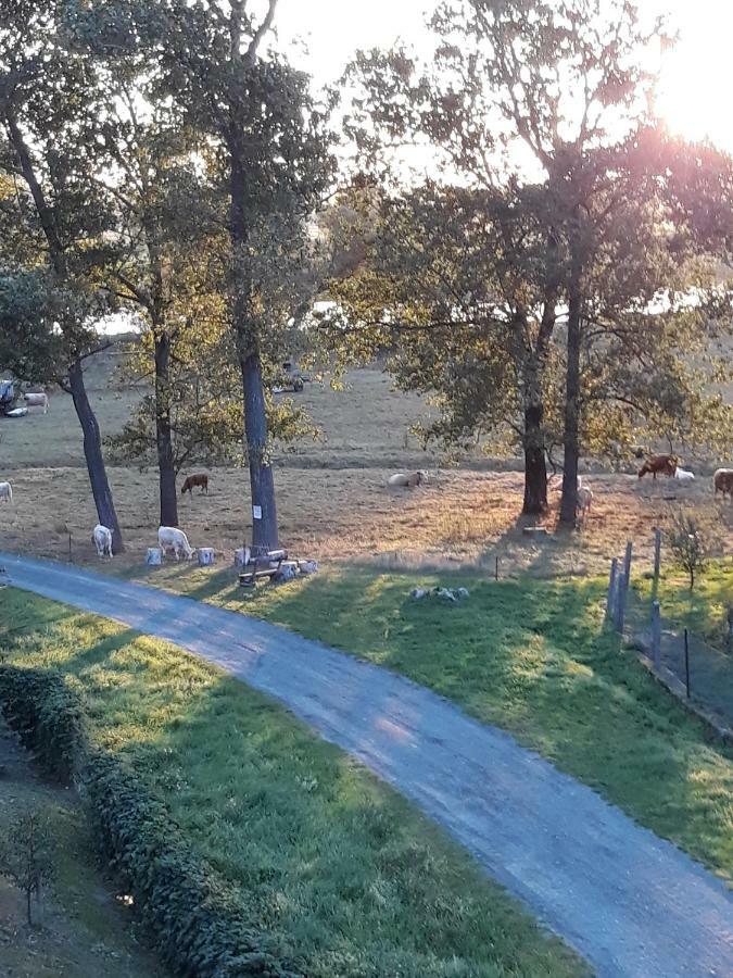 An Den Elbwiesen Gz Fewo Elbeblick Nur Nichtraucher Dommitzsch Exteriör bild