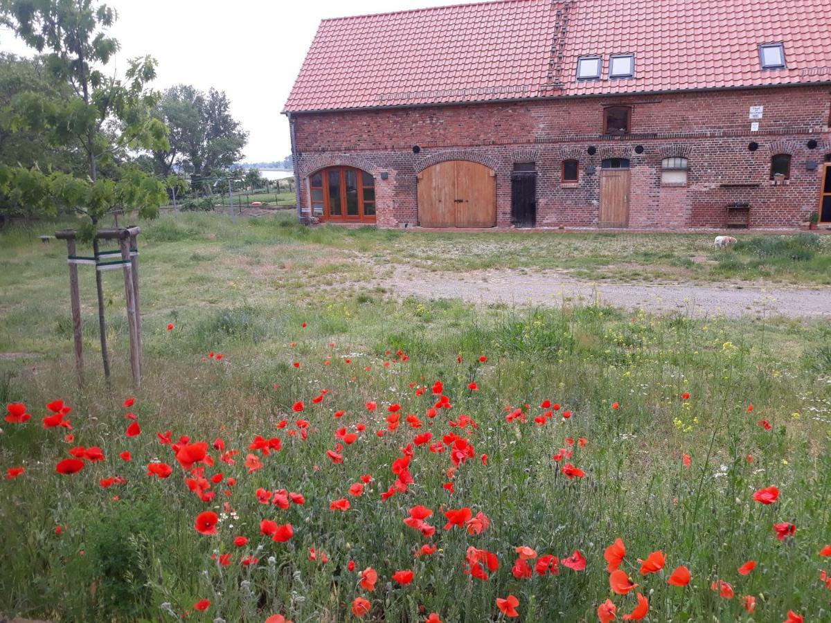 An Den Elbwiesen Gz Fewo Elbeblick Nur Nichtraucher Dommitzsch Exteriör bild